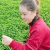 咱老公建哥的头像