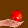 红苹果的头像