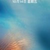 大美的头像