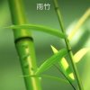 竹林听雨的头像