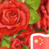 热情的头像
