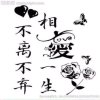 轻舞飞扬的头像