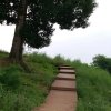若尘的头像