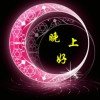 星月的头像