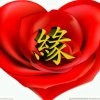 随缘的头像