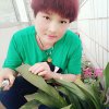  芳芳开心的头像