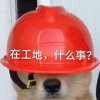 /的头像
