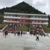 叶子的头像