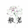 娟姐的头像
