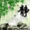 静心思语的头像