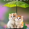 珍惜的头像