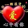 含羞草的头像