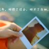 怀念青春《停币》的头像