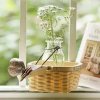 春暖花开的头像
