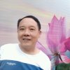 梦想蒋歌的头像