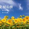 秋日晚菊的头像
