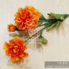 木易的头像