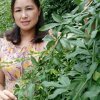 一生无悔的头像