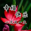 幸福快乐的头像