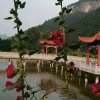 蓝颜知己的头像