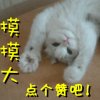 随缘的头像