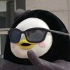 Y_yeoun.的头像