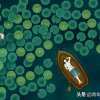 王路的头像