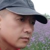草莽〈忙，回复不周望见谅〉的头像