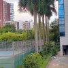 泉的头像