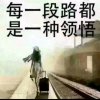 霞《停币》的头像
