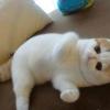 孤独终老的头像