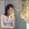 话少又软萌的我的头像