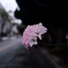 追梦人的头像