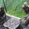 展翅高飞（唐小明）的头像