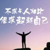 梦醉南海勿礼的头像