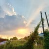才子的头像