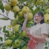 蓝天的头像