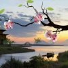 妙英的头像