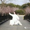 琴姐的头像