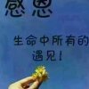 开心果的头像