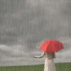 雨中漫步的头像