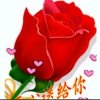 眺望远方的头像