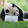 跑调忙回复不到见谅的头像