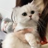 小熊柚柚的头像