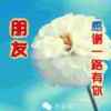 大海的头像