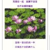 简简单单的头像