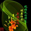 往事随风的头像