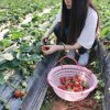 婧豆的头像