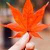 王小红的头像