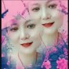 坦诚相待《已退不回访》的头像